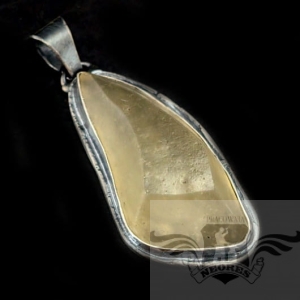 WISIOR Z LIBIJSKIM SZKŁEM