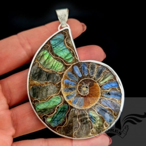 POCZTÓWKA Z WAKACJI- AMONIT Z LABRADORYTEM