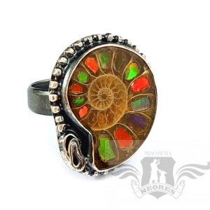 TĘCZA W KOMORACH AMONITU