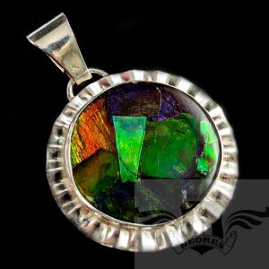 JESIENNE BARWY W AMMOLICIE