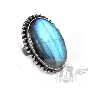 MORSKIE LUSTRO LABRADORYTU