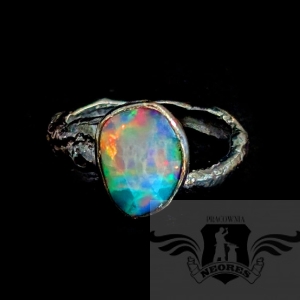 REGULOWANY Z RAJSKIM OPALEM