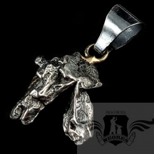 METEORYT CAMPO DEL CIELO