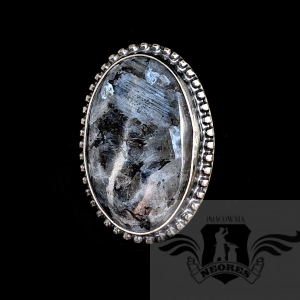 Z PÓŁNOCY- LARVIKIT