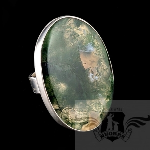 ROŚLINNIK- MSZYSTY AGAT