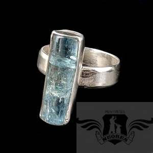 AMAZING AQUA