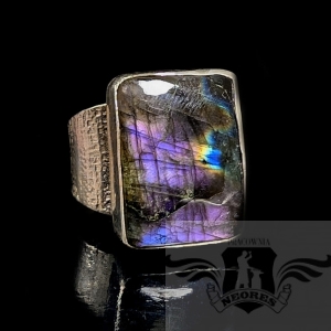 ZORZA W LABRADORYCIE