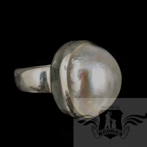 DZIEWCZYNA Z PERŁĄ W BLASKU SREBRA