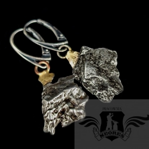 SREBRZYSTE METEORYTY