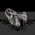 PXL_20250917_103523601.MP.jpg