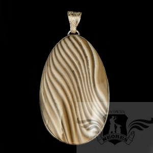 PUSTYNNE BEZDROŻA- KRZEMIEŃ PASIASTY