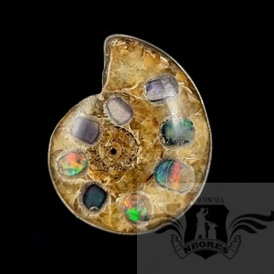 FOSSIL & OPAL