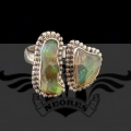 PXL_20251028_172248308.MP.jpg