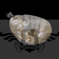 PXL_20251112_140201109.MP.jpg