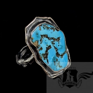 TURKUS NA SREBRNEJ TARCZY