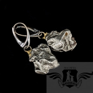 SUROWE OKAZAŁE METEORYTY