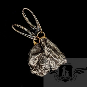 KOSMICZNE KOLCZYKI- METEORYTY