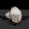 PXL_20251111_144225047.MP.jpg