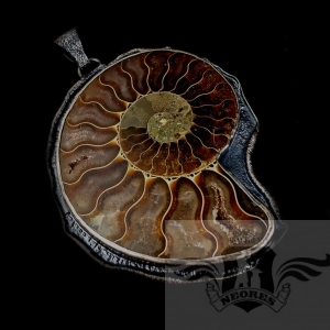 PRAWDAWNY SKARB- AMONIT