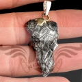 PXB474~1.JPG