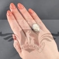 PX9F8C~1.JPG