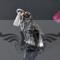 PX5732~1.JPG