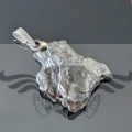 PXL_20260219_111250162.jpg