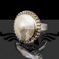 PXL_20260419_171448888.jpg