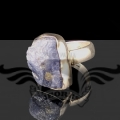 PXL_20260507_110608715.MP.jpg