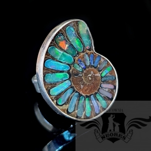 SPRING MAGIC- AMONIT Z OPALEM