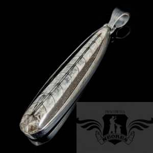 ORTHOCERAS