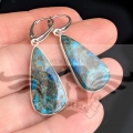 PXL_20260929_123705814.MP.jpg