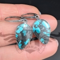 PXL_20261020_105109360.MP.jpg